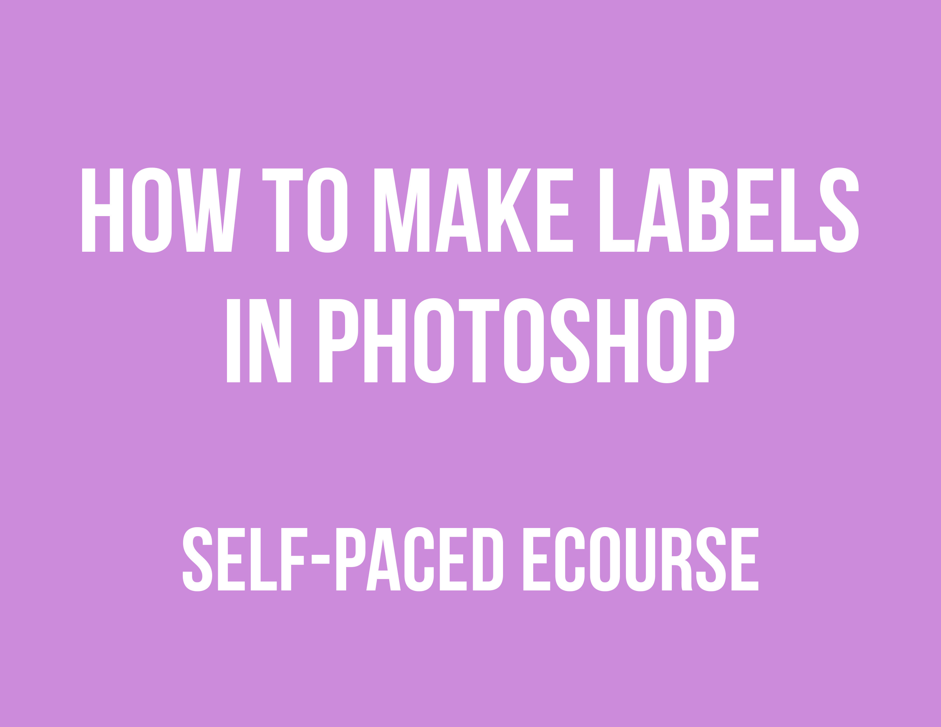 How to Make Labels In Build a Bigger Online Business